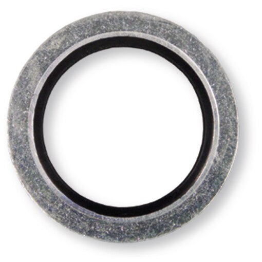 Anello di tenuta in Acciaio/Gomma 16.6x24x2.5
